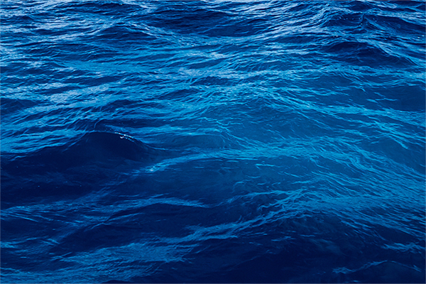 Bild für TRANSPORT Kachel